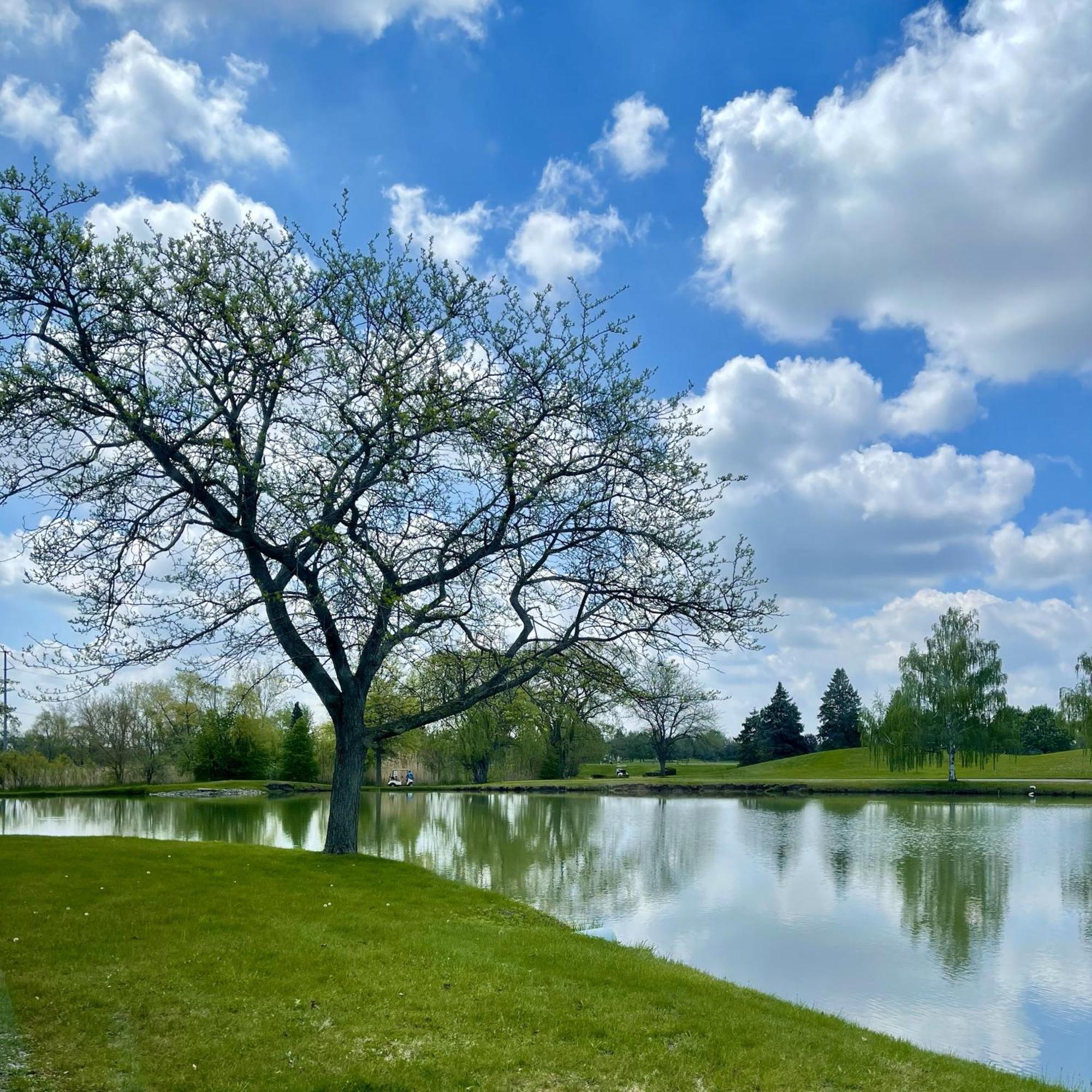 Bay Valley Resort & Conference Center ベイシティ エクステリア 写真